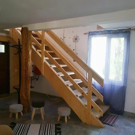 Goia Paltinei * Muntele Rece